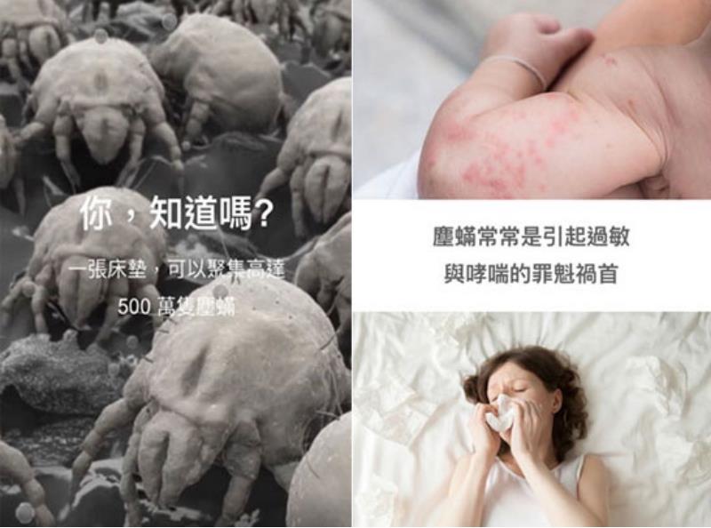 愛潔樂清潔公司帶您認識塵蟎 - 如何消滅塵蟎！