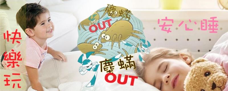 愛潔樂清潔公司帶您認識塵蟎 - 如何消滅塵蟎！